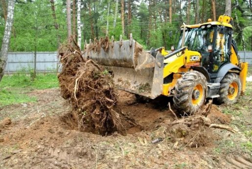 Удаление пней и корчевание вручную и со спецтехникой стоимость услуг и где заказать - Тверь