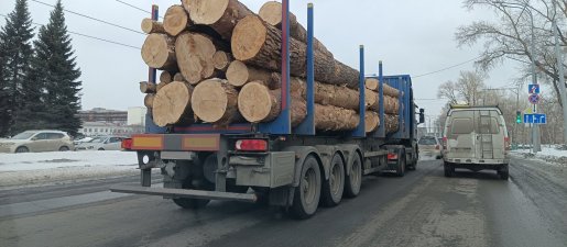 Поиск транспорта для перевозки леса, бревен и кругляка стоимость услуг и где заказать - Тверь