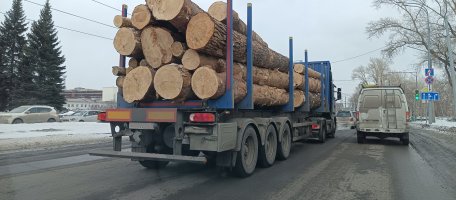 Поиск транспорта для перевозки леса, бревен и кругляка